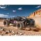 DBX09 4S RTR - Desert Buggy 1/9 brushless Bleu