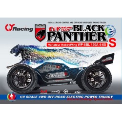 BLACK PANTHER S FLUX - Truggy électrique 1/8 [RTR]